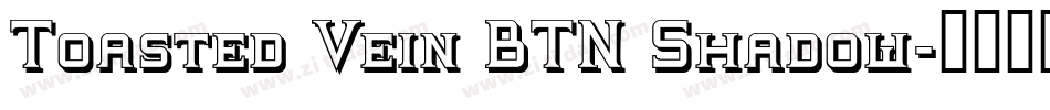 Toasted Vein BTN Shadow字体转换